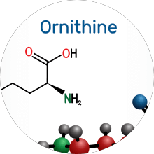 L-Ornithine HCI